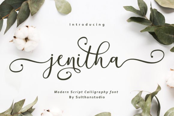 Jenitha: The Elegant Script Font for Modern Designers